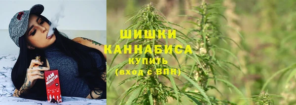 спиды Вяземский