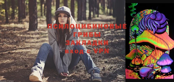 спиды Вяземский