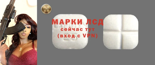 спиды Вяземский