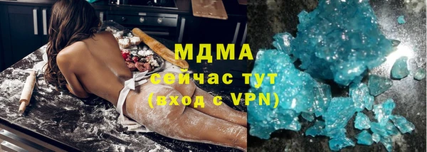 спиды Вяземский