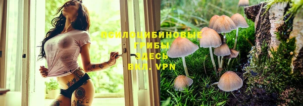 скорость Вязьма