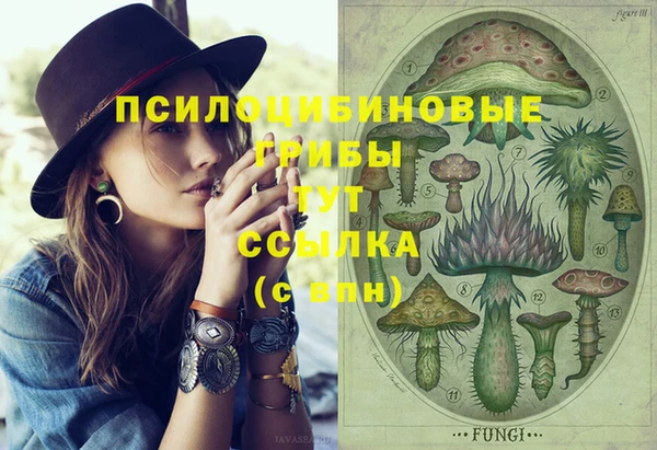 спиды Вяземский
