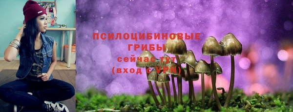 скорость Вязьма